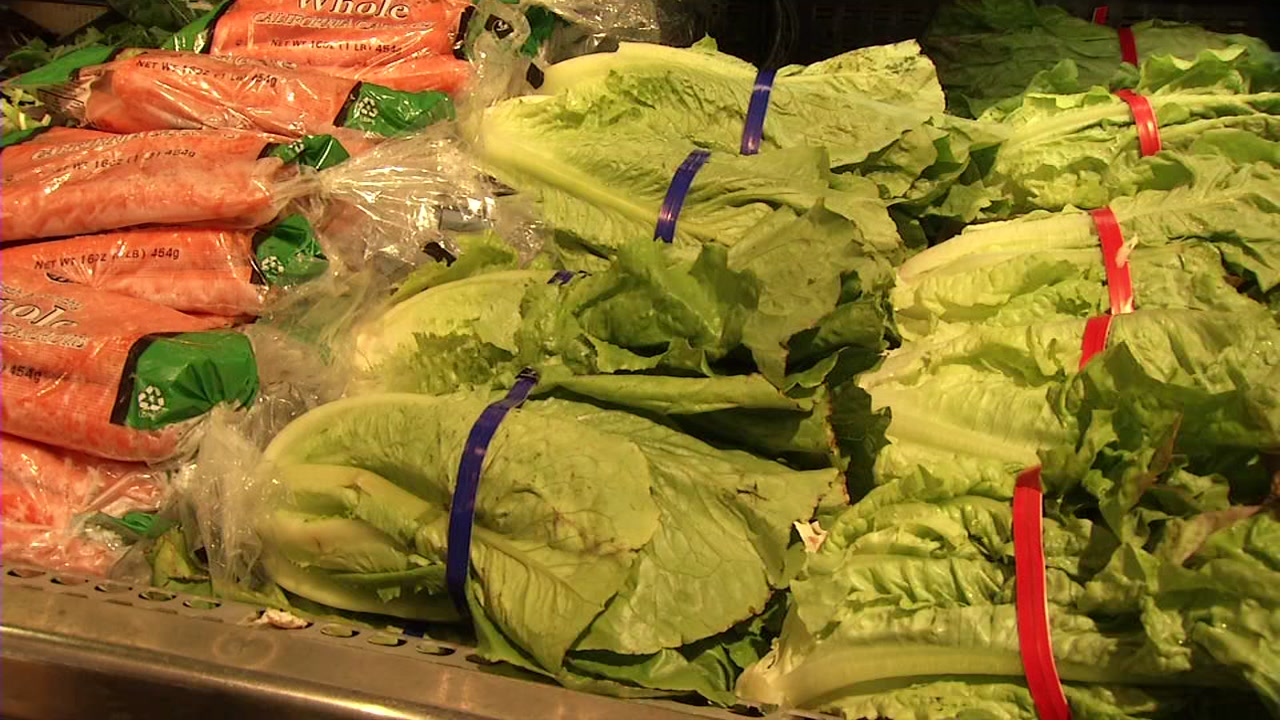 Tainted romaine 'very likely' came from Monterey County, official says