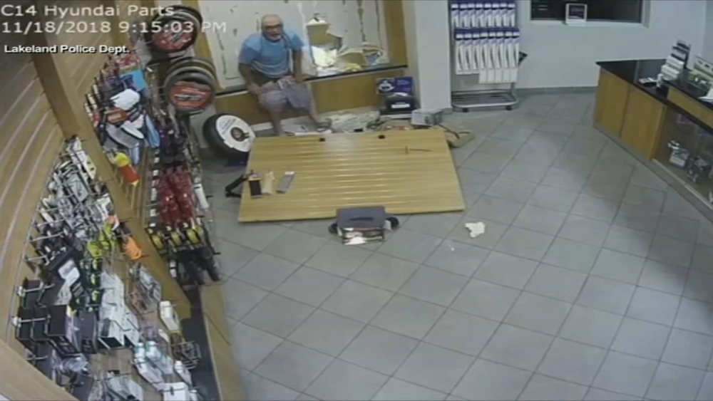 Florida burglar loses his shorts at car dealership