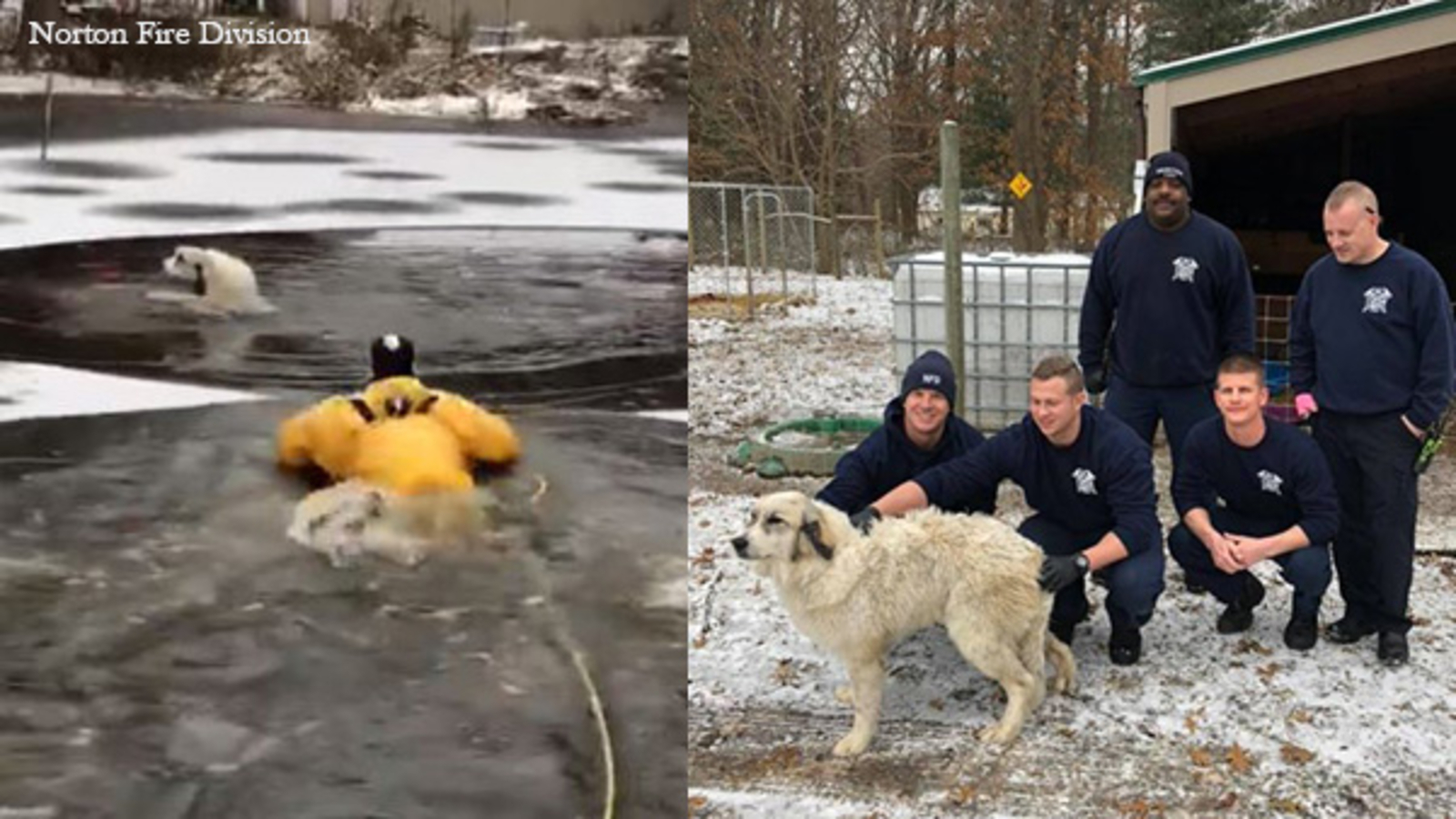 Firefighter rescues dog from icy pond in Norton, Ohio ABC7 Chicago