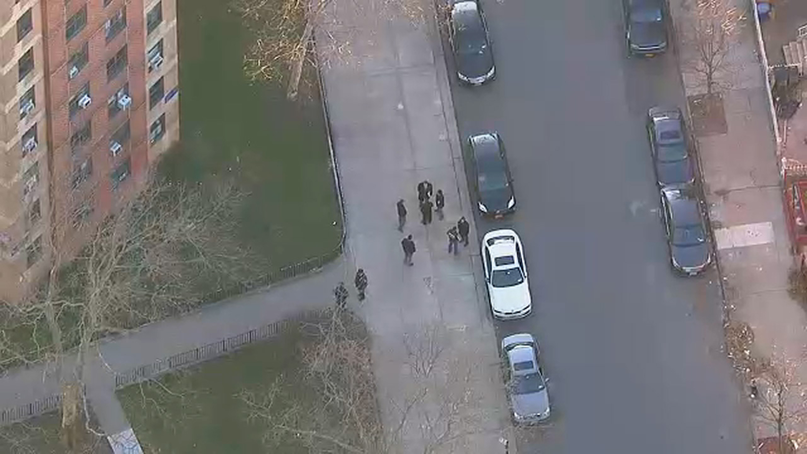 2 shot, 1 fatally, in broad daylight on Brooklyn street ABC7 New York