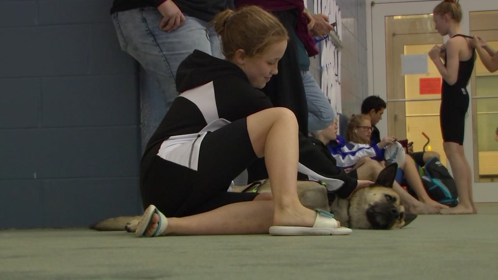 Therapy animals help Wake Tech students relax during exams - ABC11 ...