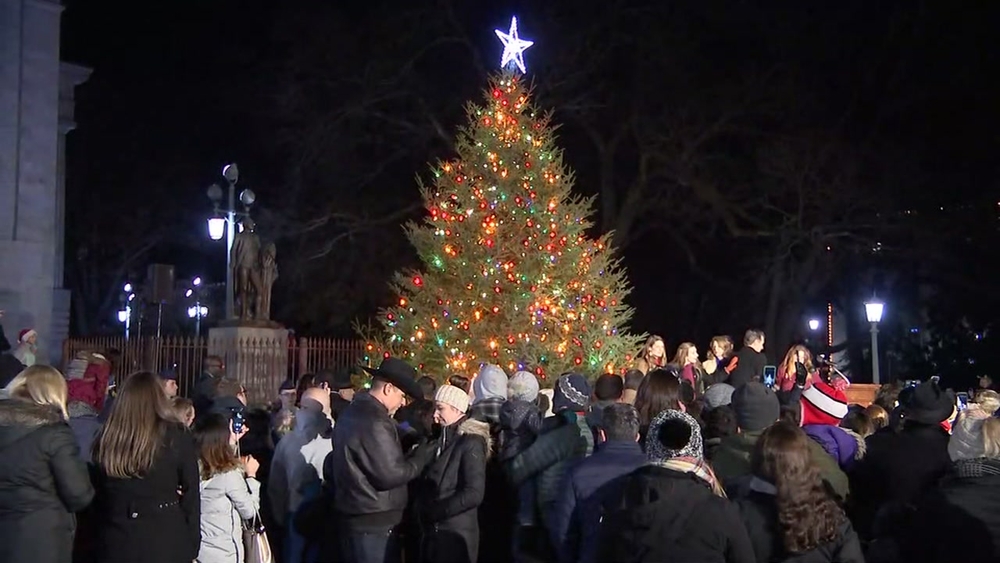NC Capitol tree shines bright in downtown Raleigh