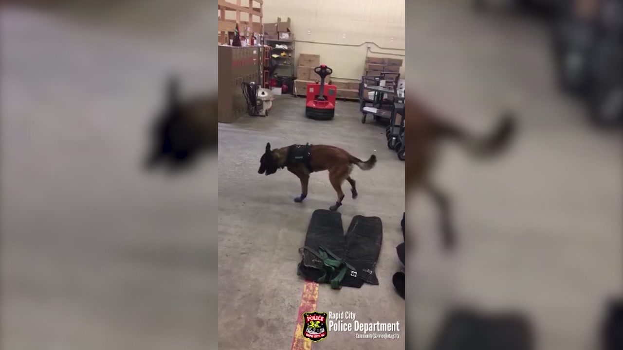 k9 snow boots
