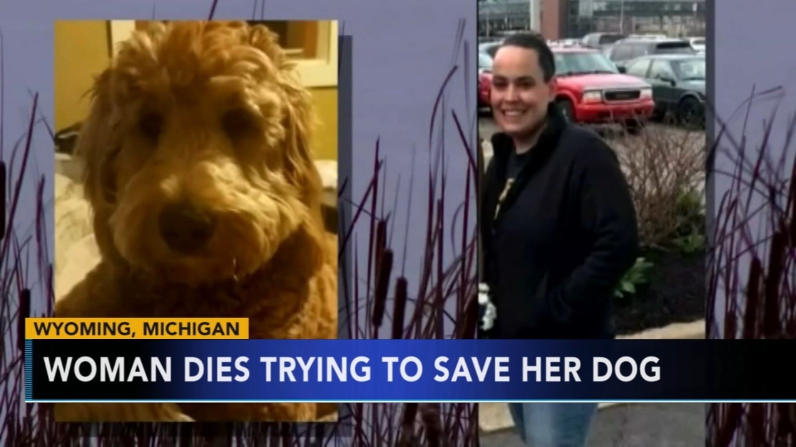Mom dies after trying to save dog from frozen pond - 6abc Philadelphia