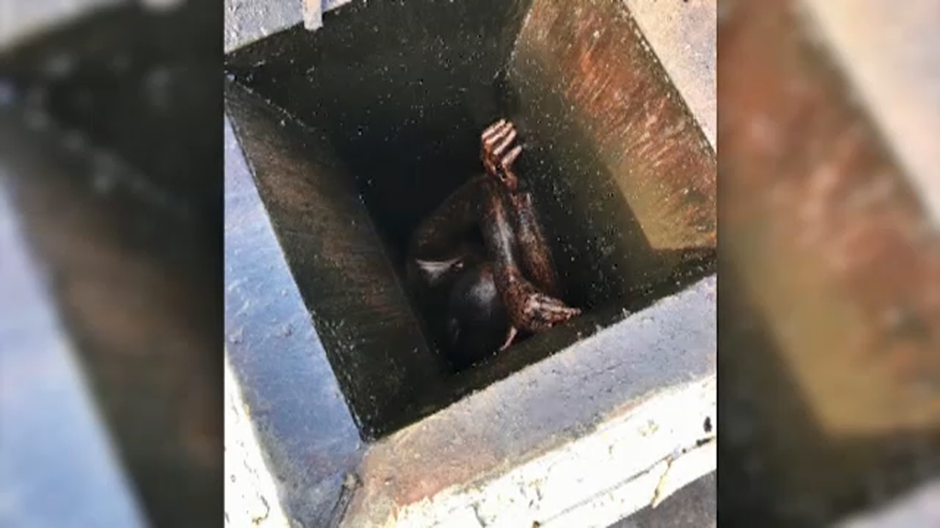 Man rescued from grease vent of Chinese restaurant two days after getting stuck