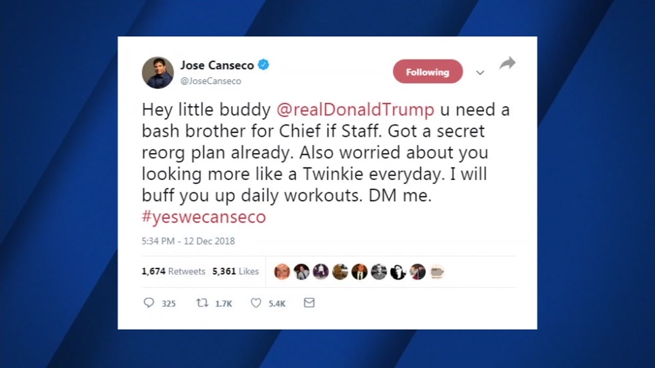 Jose Canseco wants to be President Trump's next chief of staff