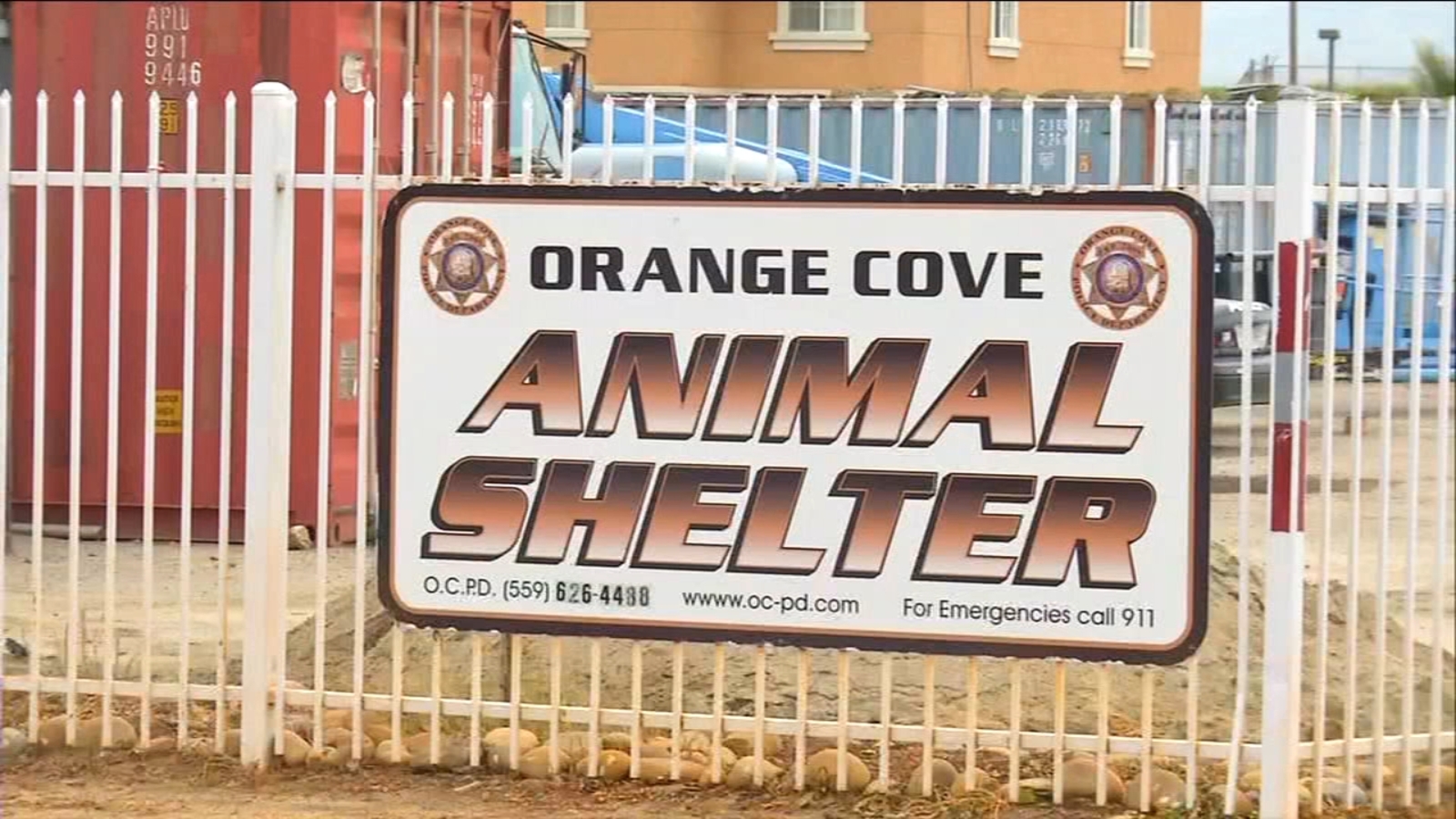 City of Orange Cove pushes nonprofit out of animal shelter ABC30 Fresno