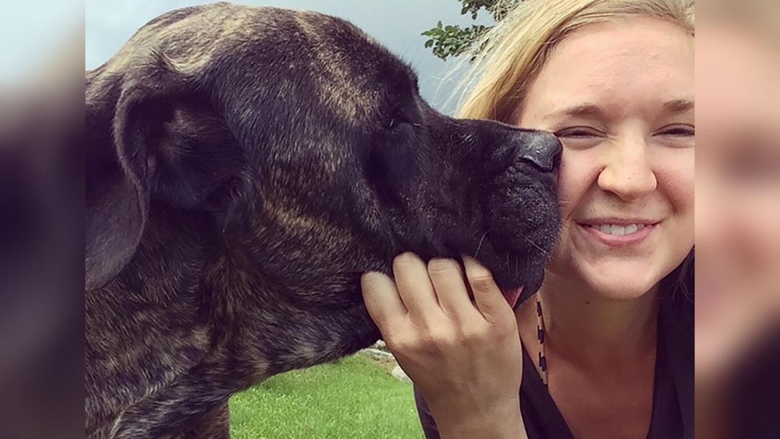 Young woman takes beloved dying dog on 'bucket list' adventure of a