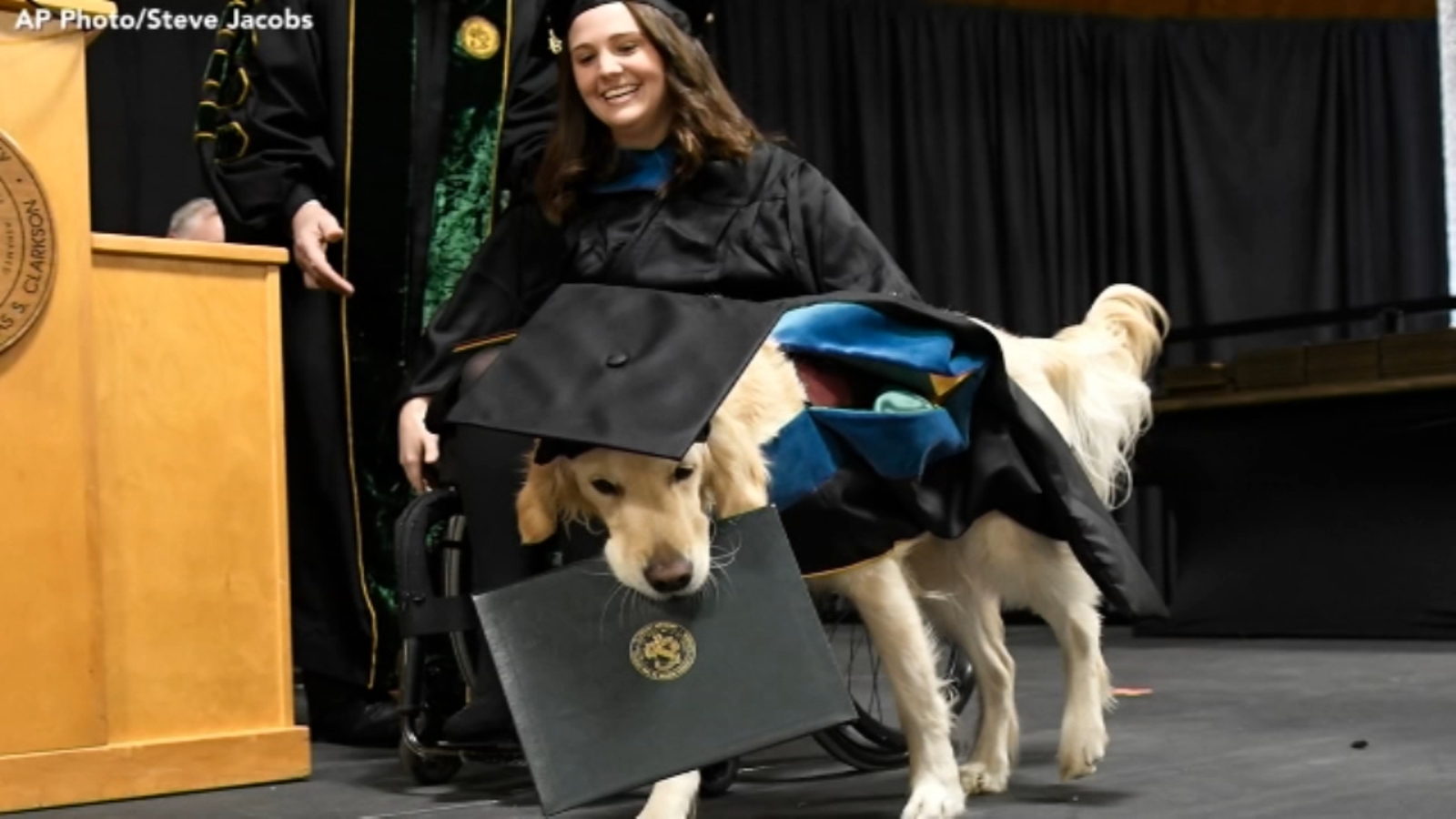 Service dog assisting college student gets honorary diploma from New