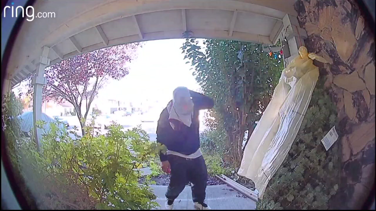 ABC7 highlights Bay Area porch pirates in 12 Days of Grinch-mas