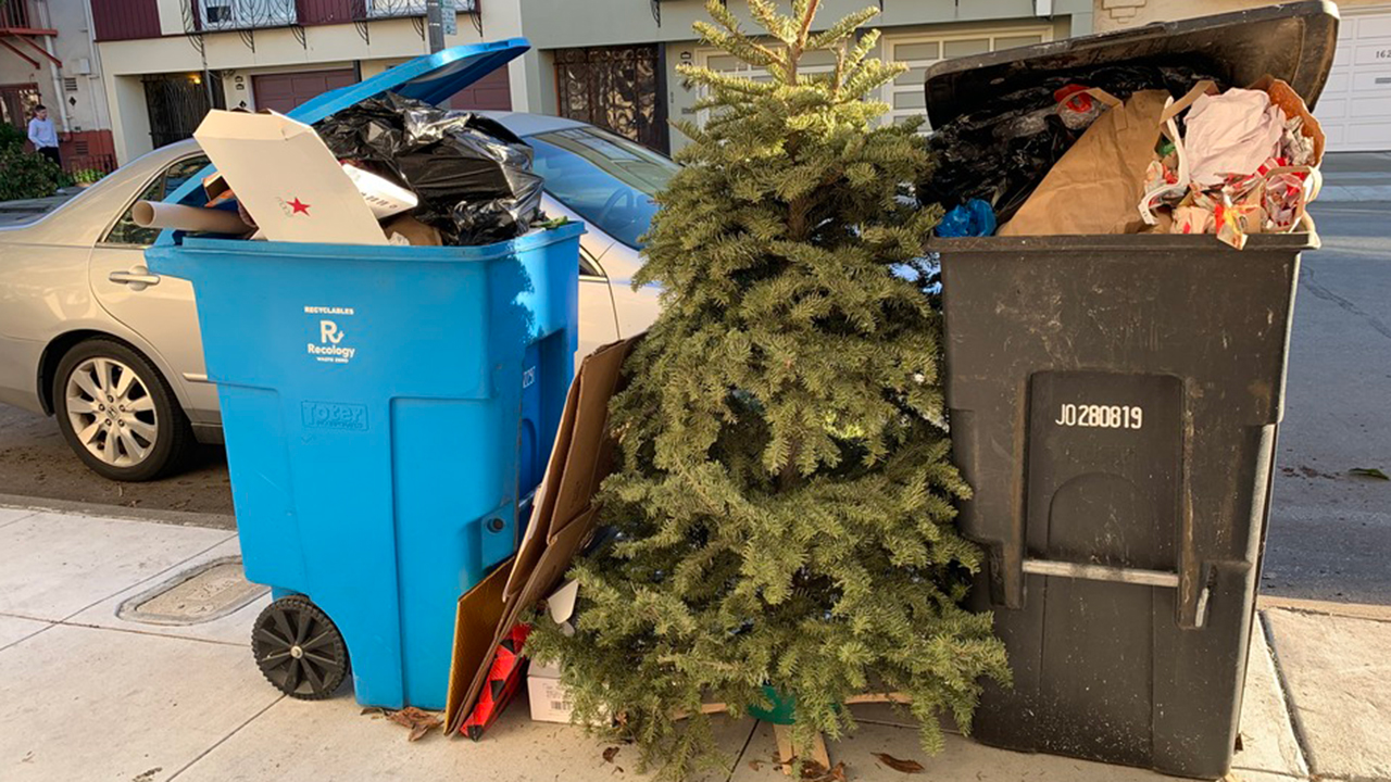 SF officials say hold on to your Christmas trees a bit longer