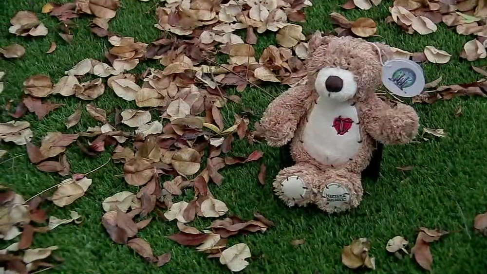 Woman works to reunite teddy bear filled with ashes to rightful family