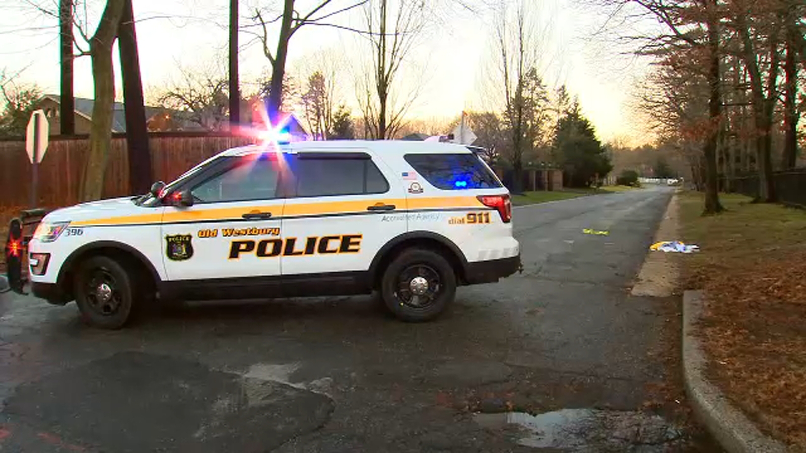 2 shot at party in Old Westbury, Long Island ABC7 New York