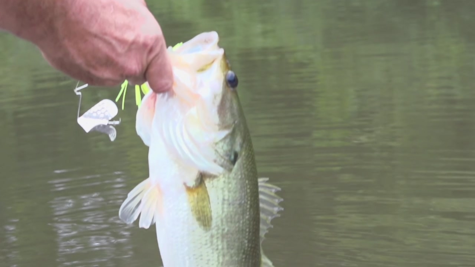 Lake Conroe to host Bass Pro Tour Major League fishing tournament