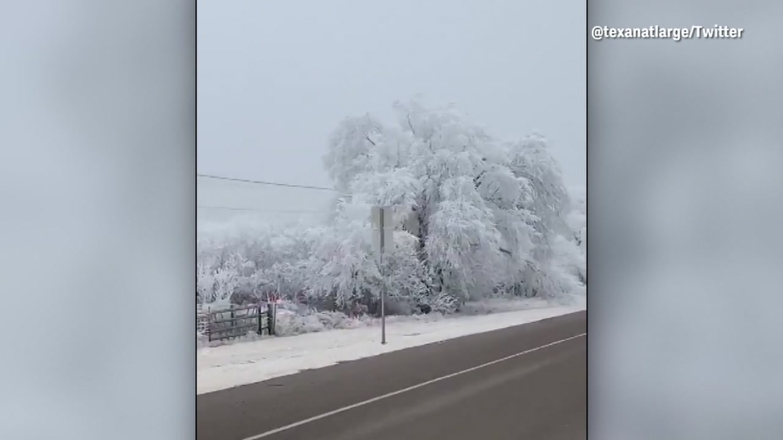 Frozen Fog Covers Trees In Alpine Texas ABC13 Houston