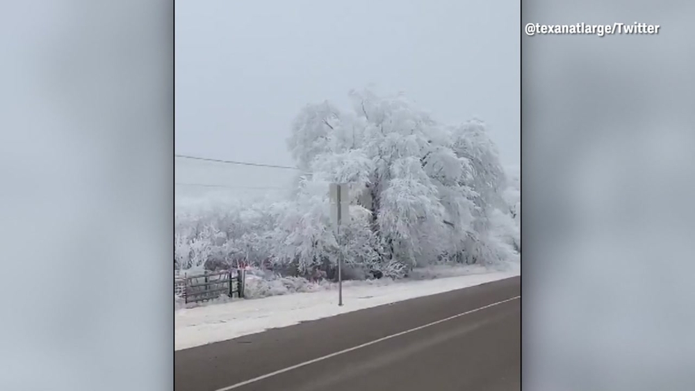 Video shows trees covered in frozen fog in Alpine, Texas