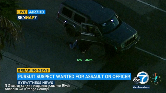 Suspect wanted for assault on officer is in custody after bizarre chase ...