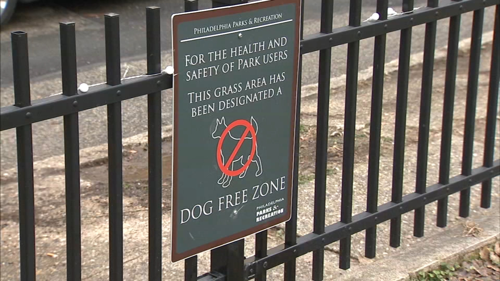 Man dies after being punched in South Philadelphia park 6abc Philadelphia