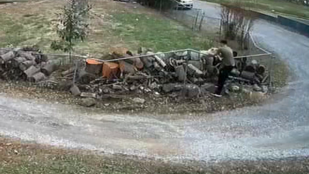 Video shows man taking dog from yard, police looking for person responsible