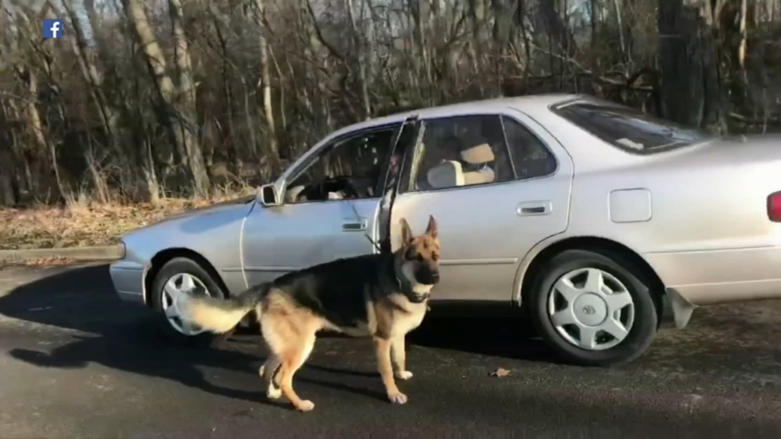 VIDEO: Man accused of pulling dog on leash with car on NW Side charged ...