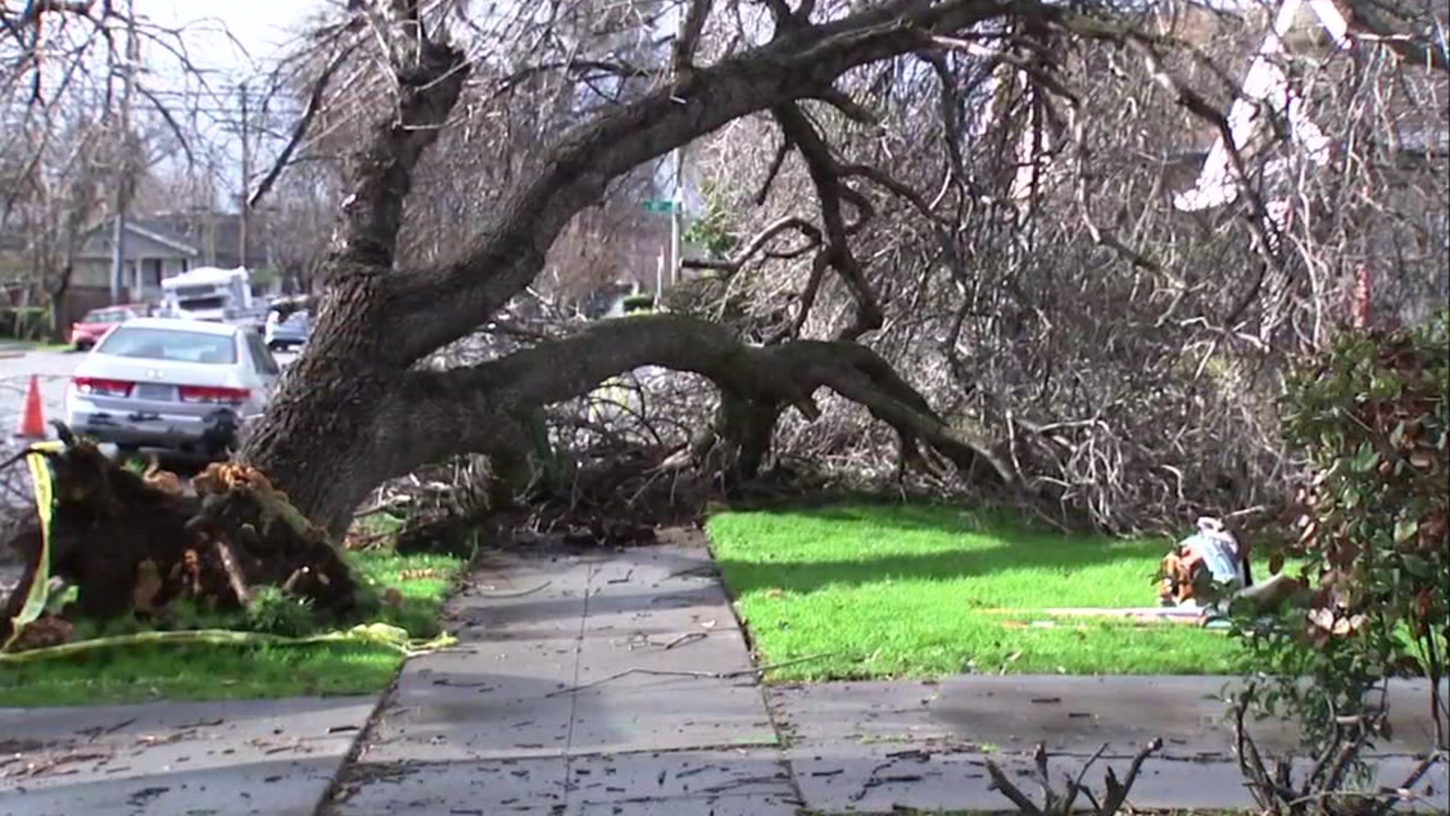 Downed tree narrowly misses home in San Jose ABC7 San Francisco