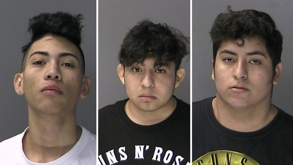Police: Undocumented MS-13 members stab, attack LI teen