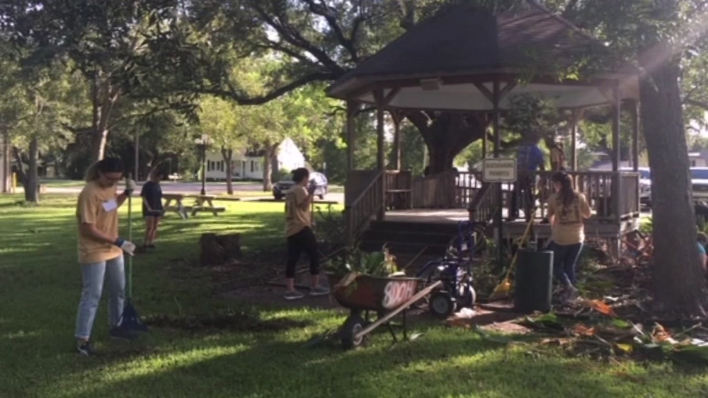 Santa Fe therapy garden needs funding