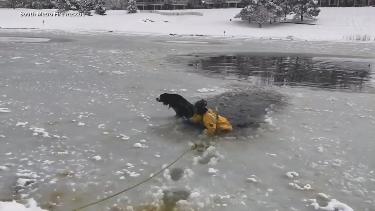 Firefighters rescue dog on icy pond in Colorado