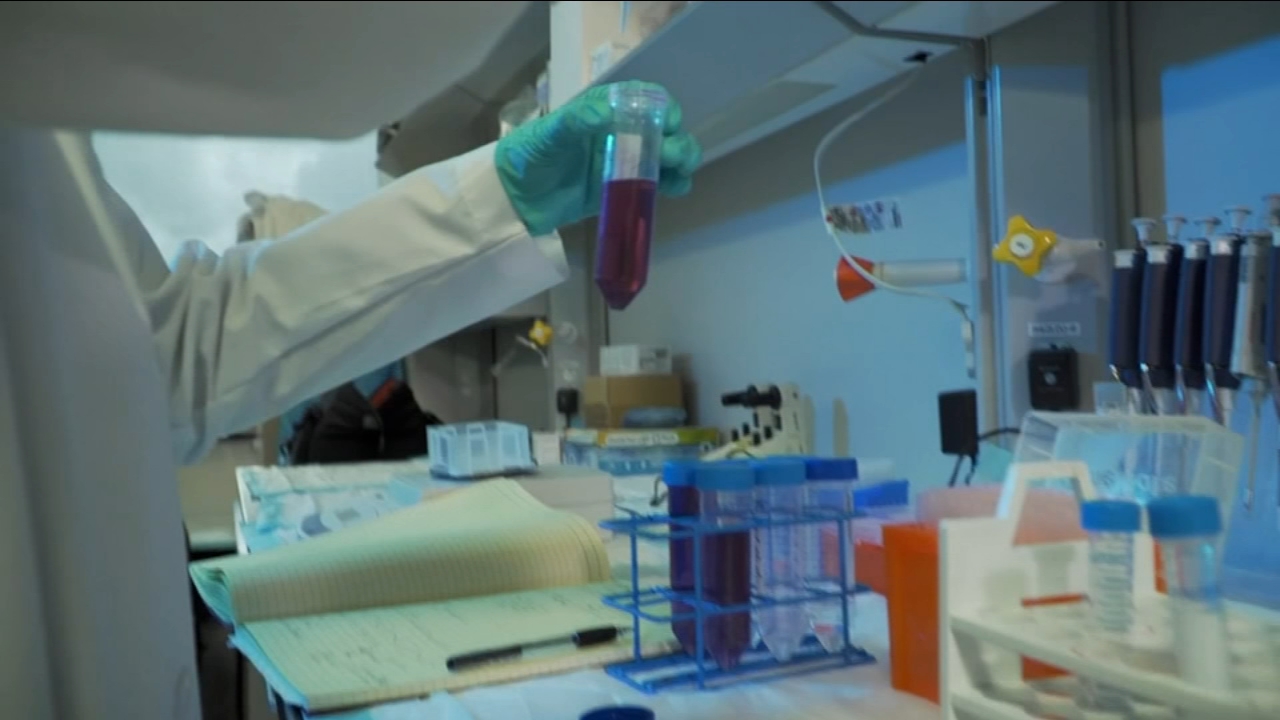 Health Watch: Zombie Cells Attack Alzheimer's