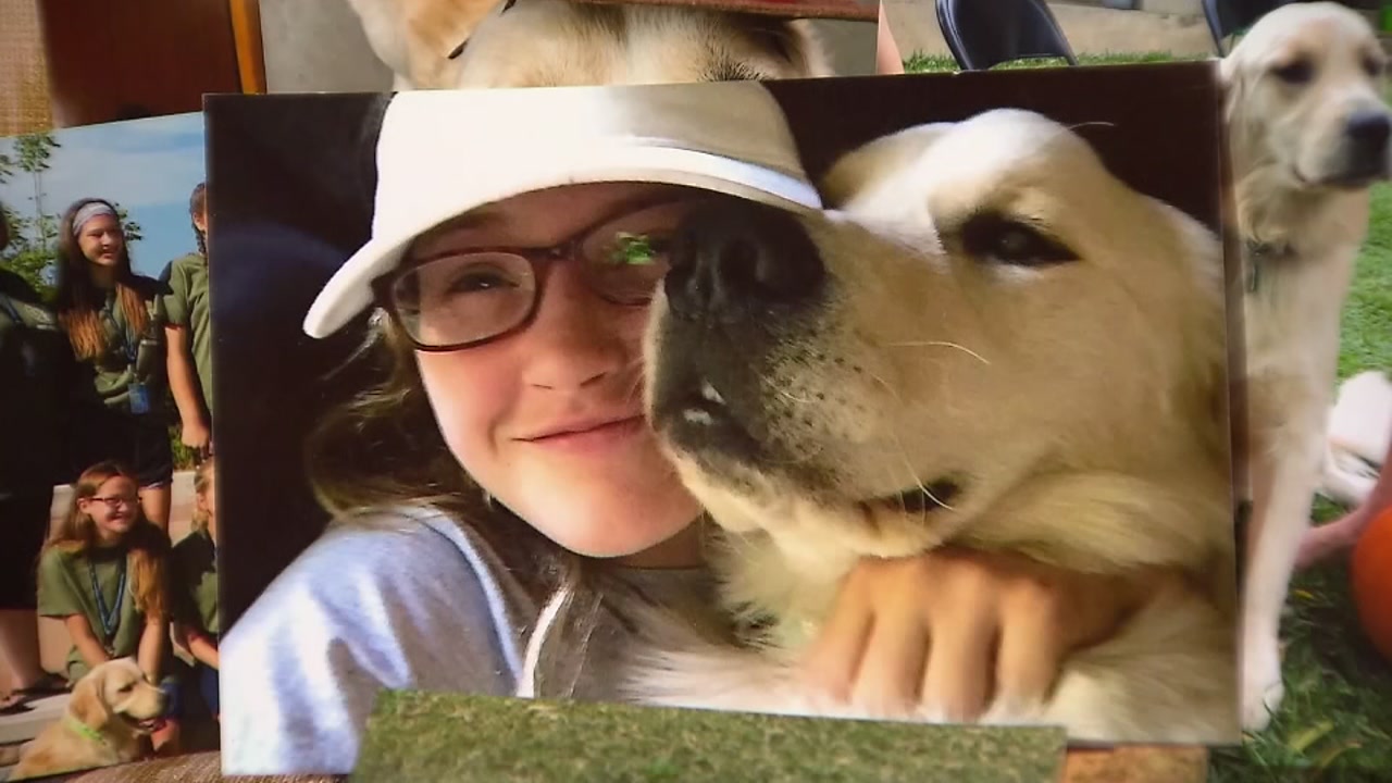 Teen's service dog shot to death