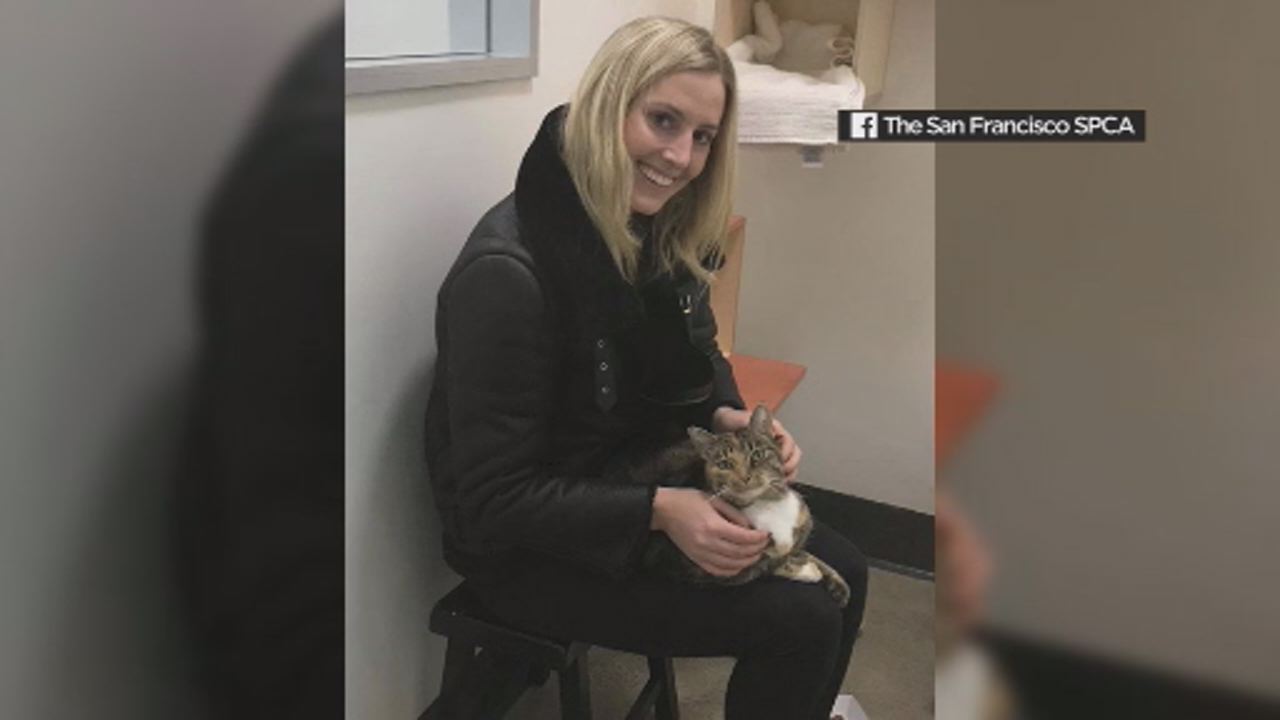 Cat feared lost during Camp Fire reunited with owner