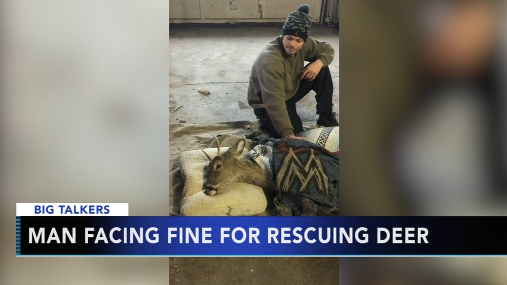 Man facing fine for rescuing a deer