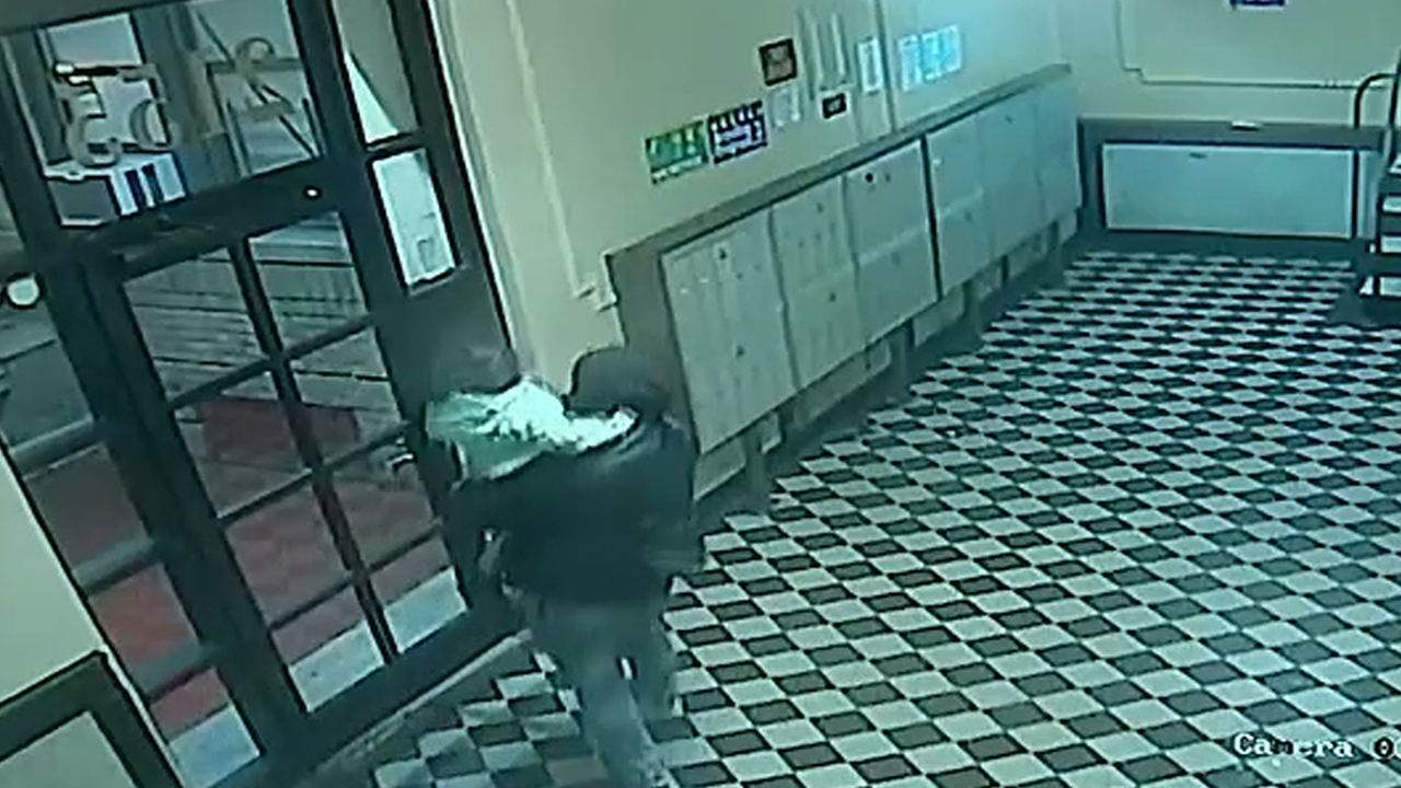 2-year-old girl with autism abducted in the Bronx found safe