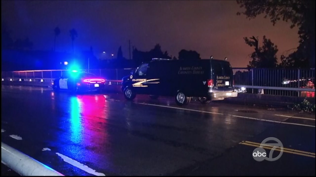 Man killed by falling tree in Oakland