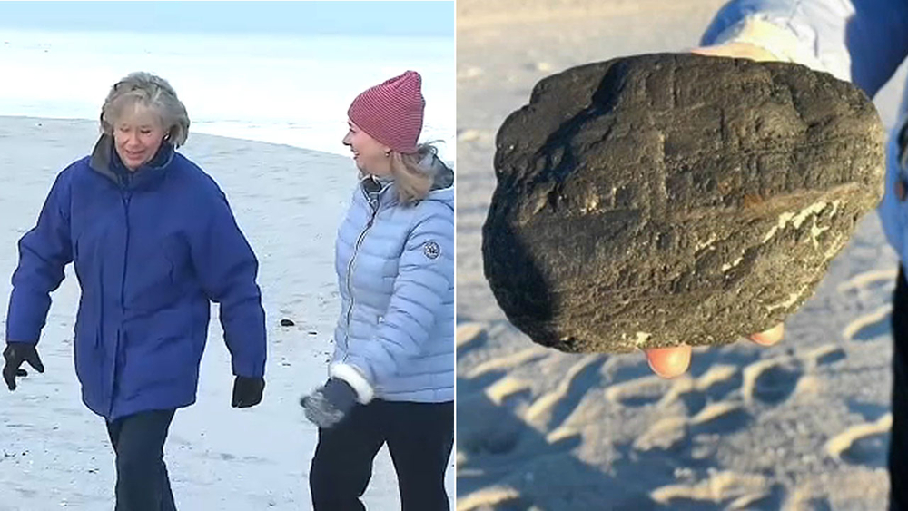 Fmr. Action News reporter may have found meteorite