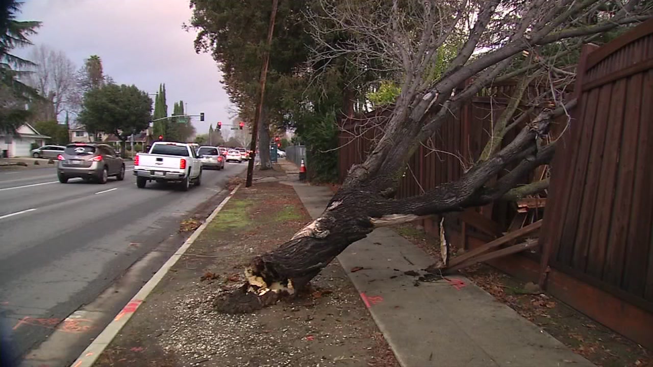 South Bay cleaning up after a stormy night