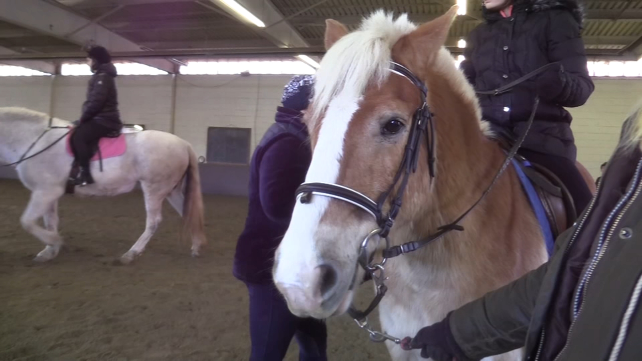 Local equestrian center celebrates decades of enabling all riders