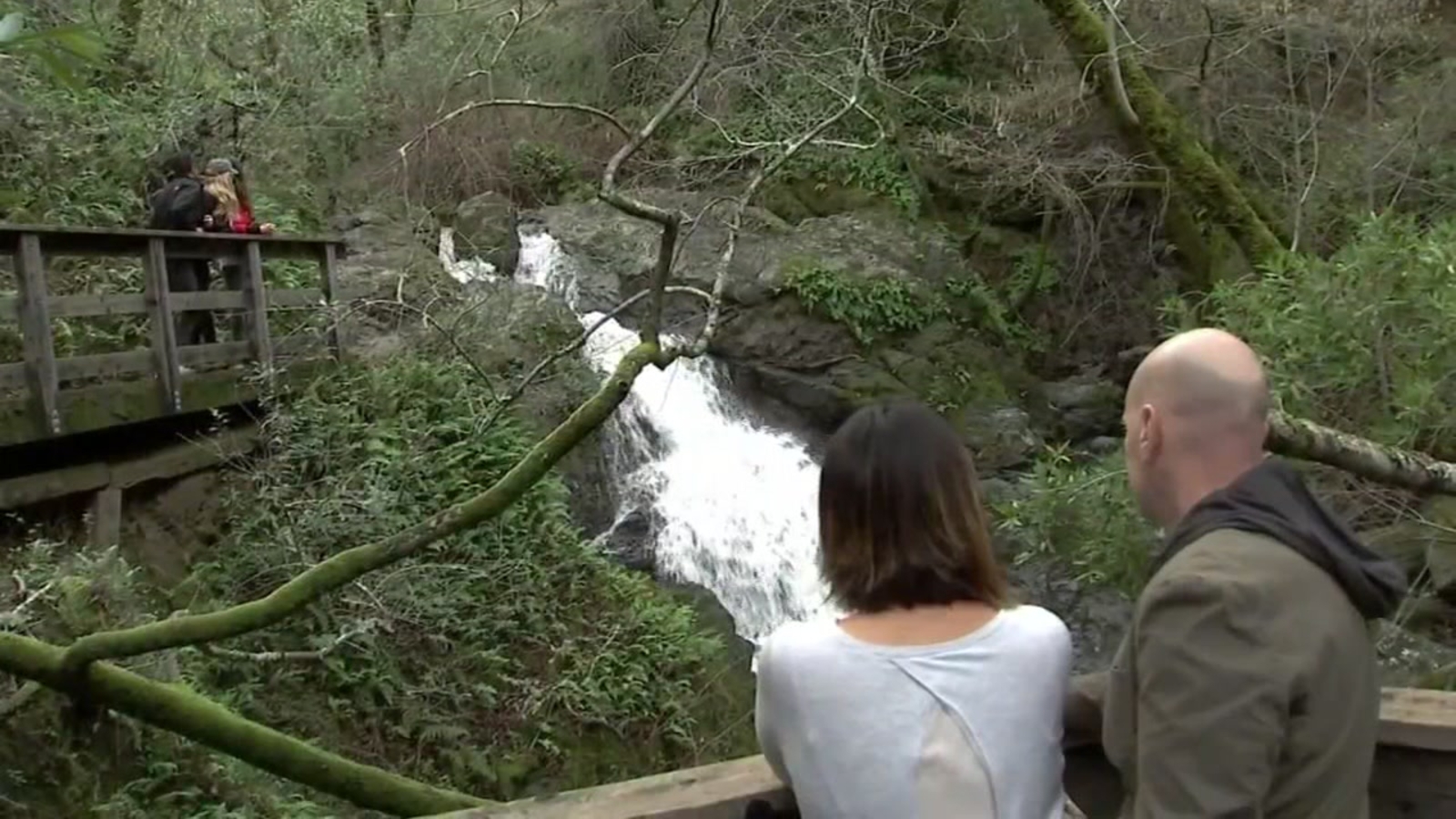 Don't go chasing waterfalls? ABC7 News did and look what we found in