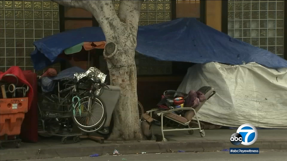 Thousands volunteer for 2019 homeless count in LA