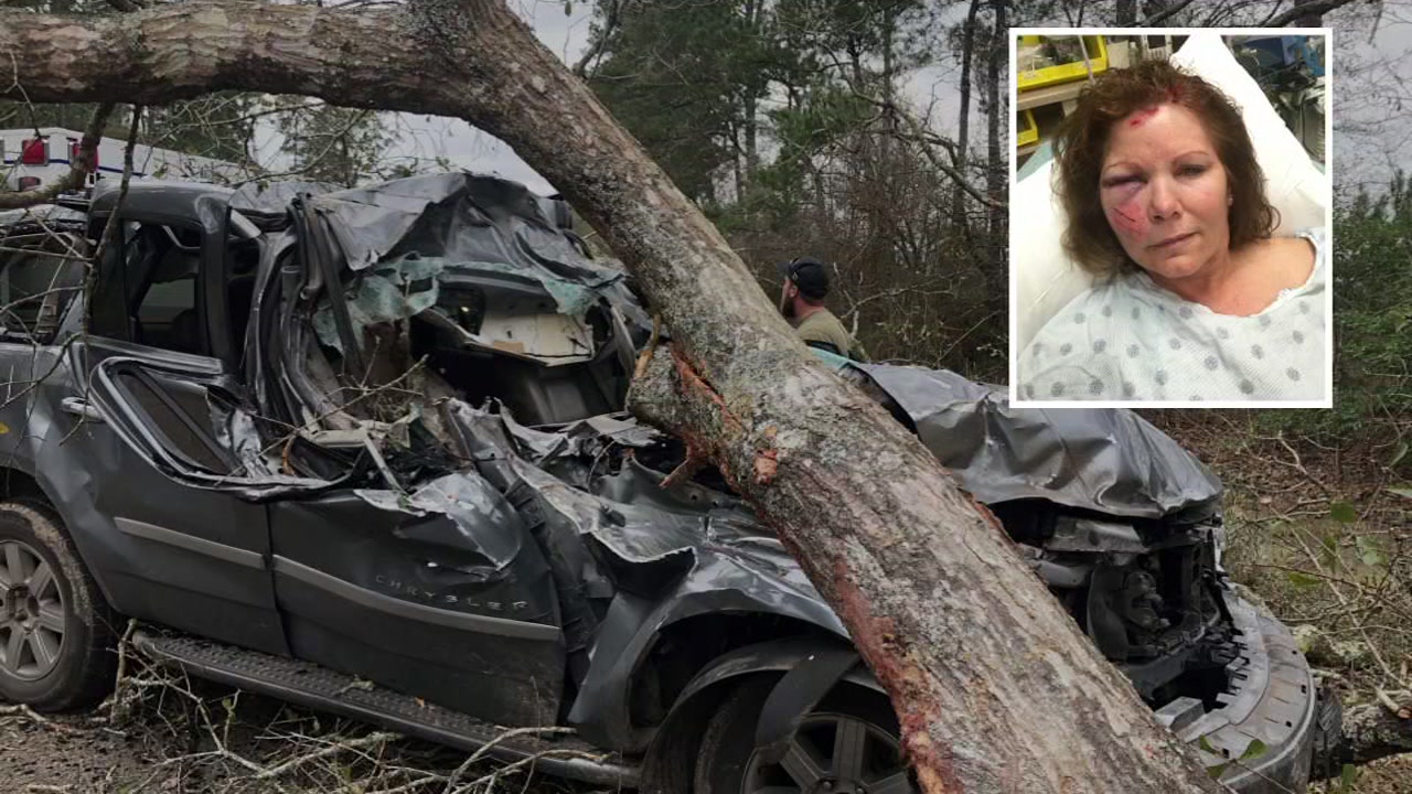 Woman survives car getting stuck under massive oak tree
