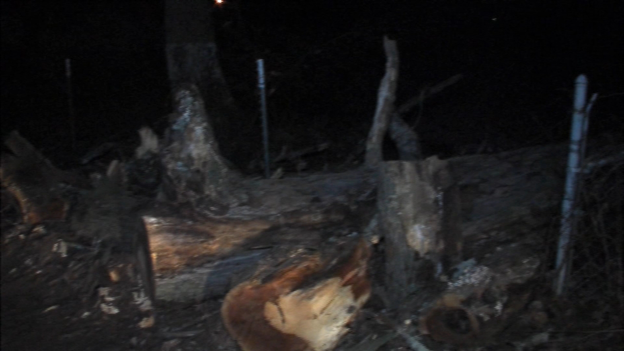 Large tree falls, knocks out power in Pemberton Twp.