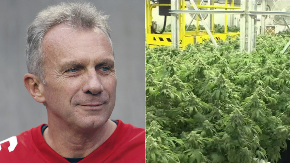 Football legend Joe Montana investing $75M in marijuana industry