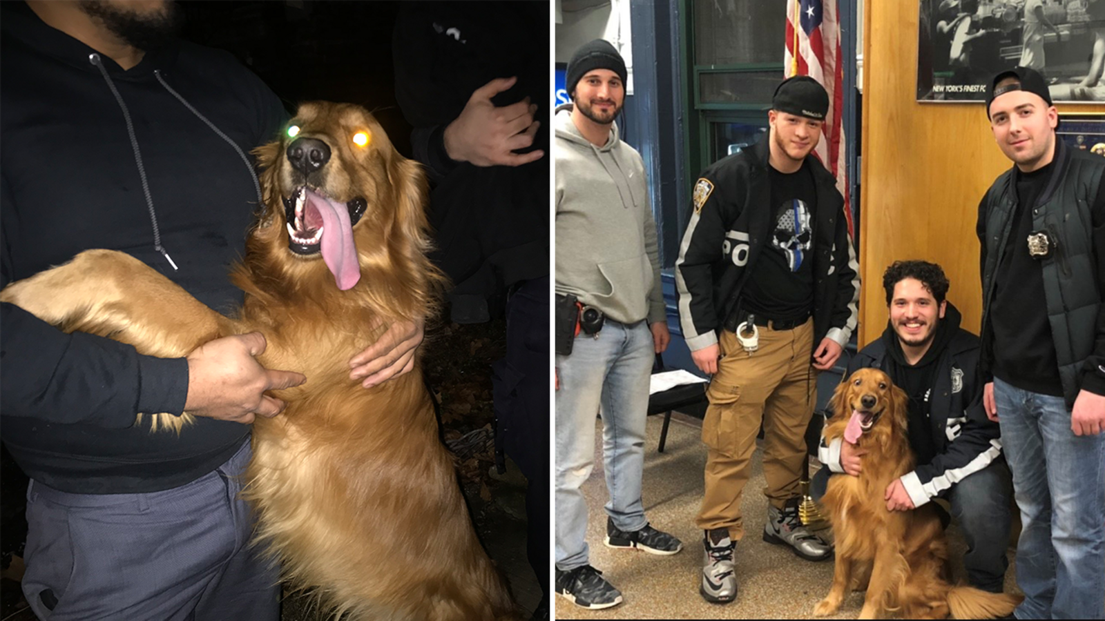 NYPD greeted by stolen dog during door knock at suspect's home in