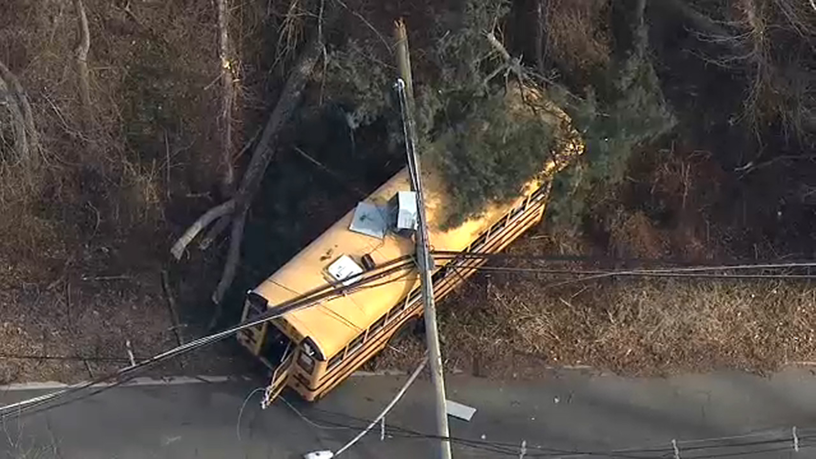 Power lines fall on school bus in Long Hill, New Jersey crash with kids