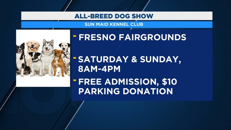 'All-Breed Dog Show' coming to Fresno Fairgrounds this weekend - ABC30