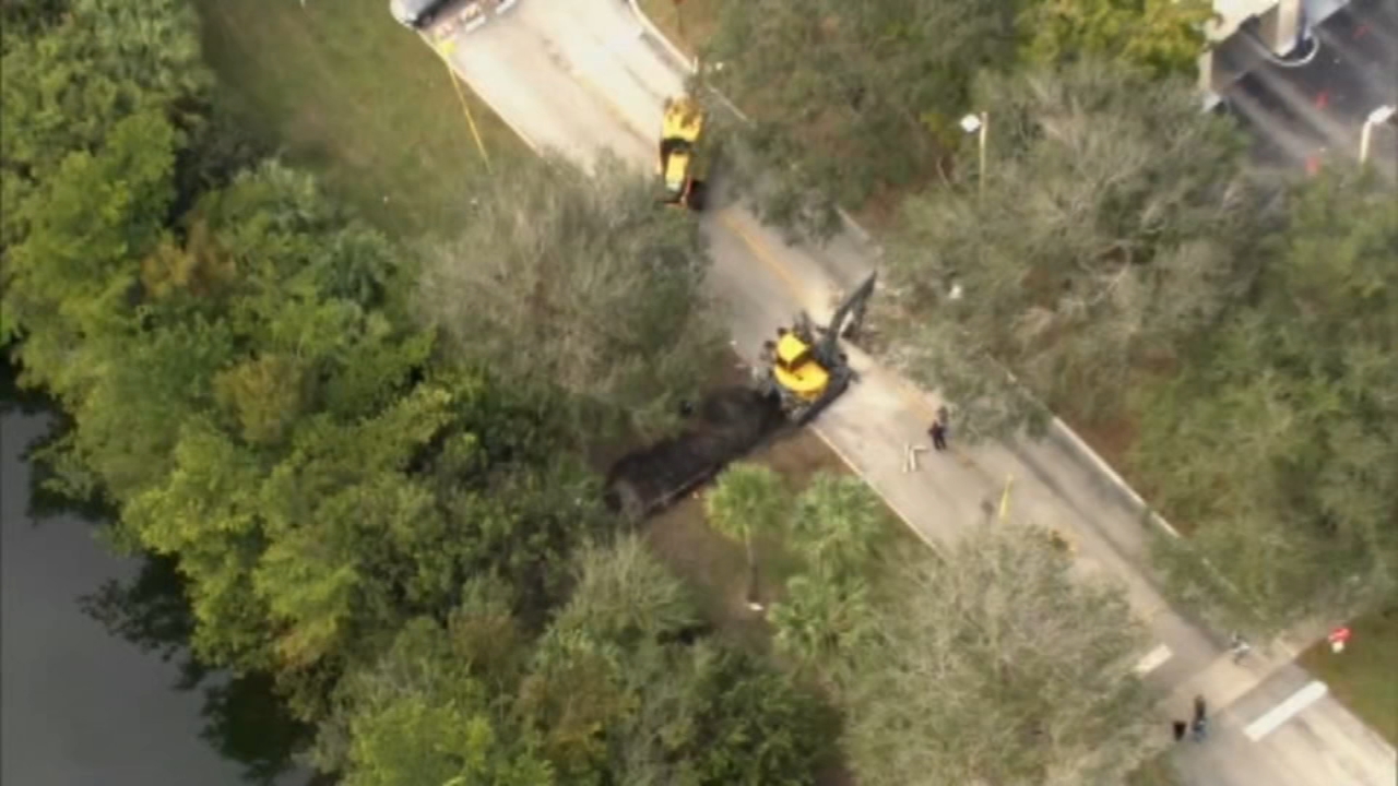 Mystery tunnel found pointing toward Florida bank branch