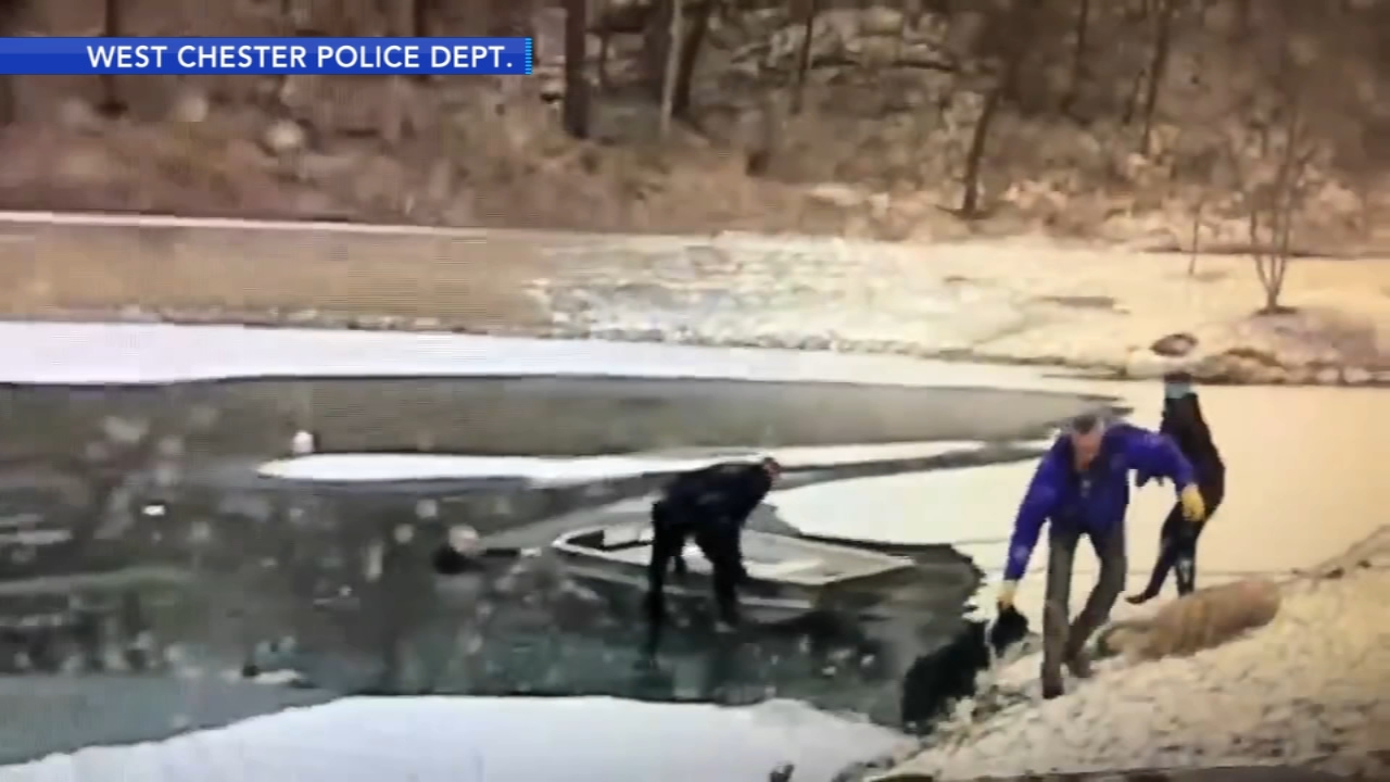 Man and dog rescued from icy pond in West Chester