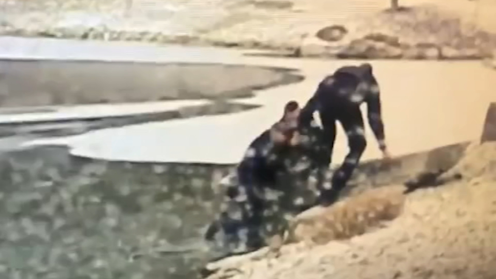 Man and dog rescued from icy pond n Pennsylvania - ABC30 Fresno