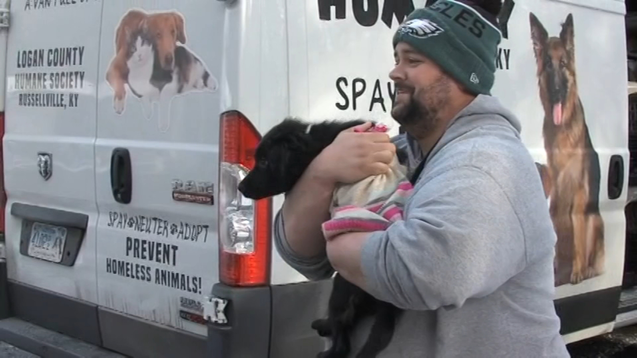 Dogs arrive in Voorhees with hopes of finding new homes