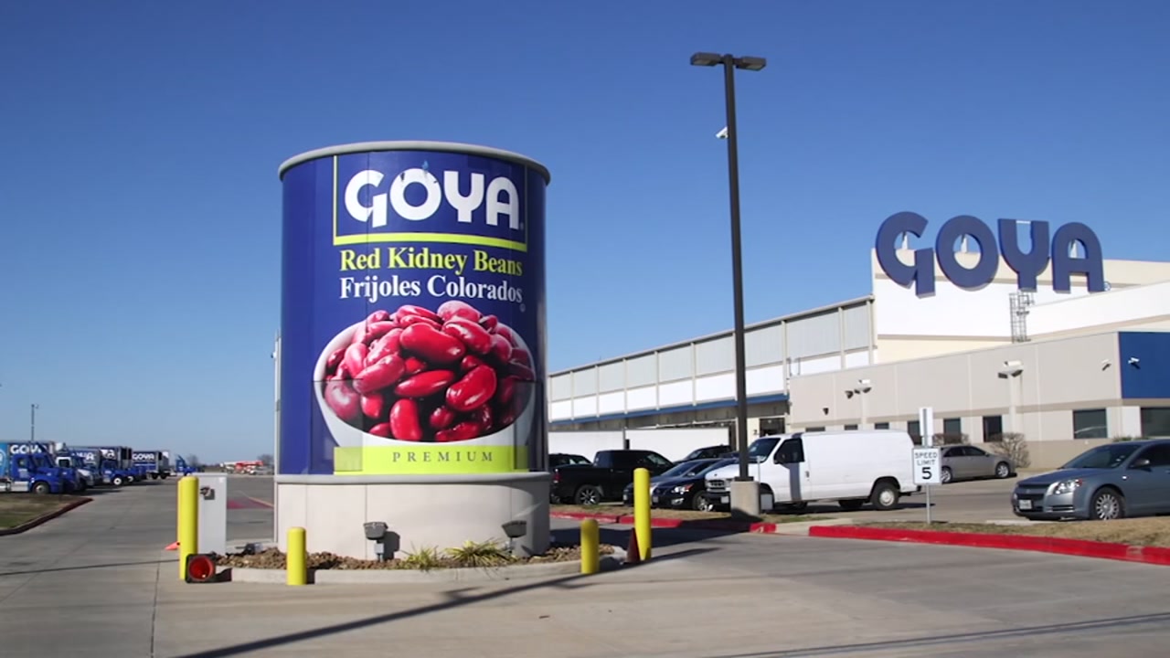 Check This Out - Goya 